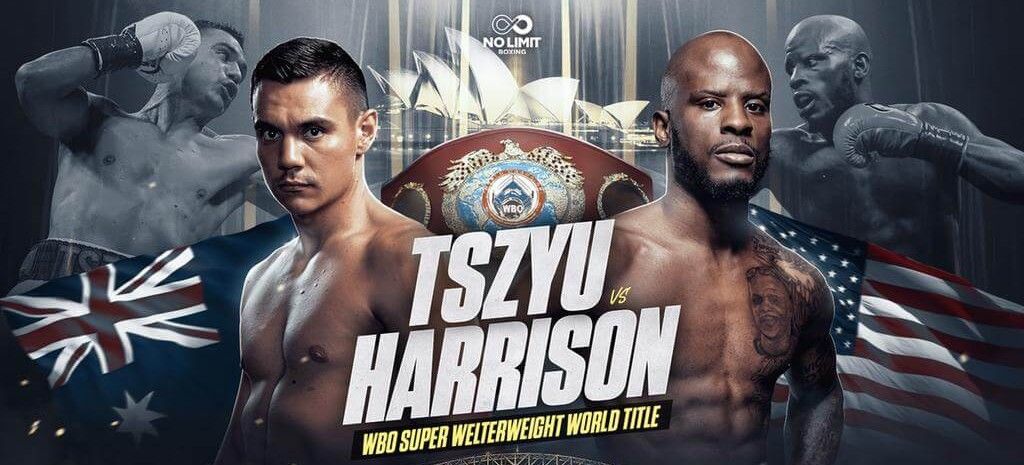 Источник: WBO