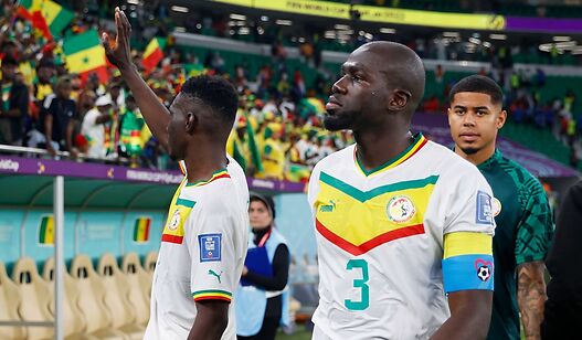 Senegal-v-Netherlands-Group-A-FI.jpg