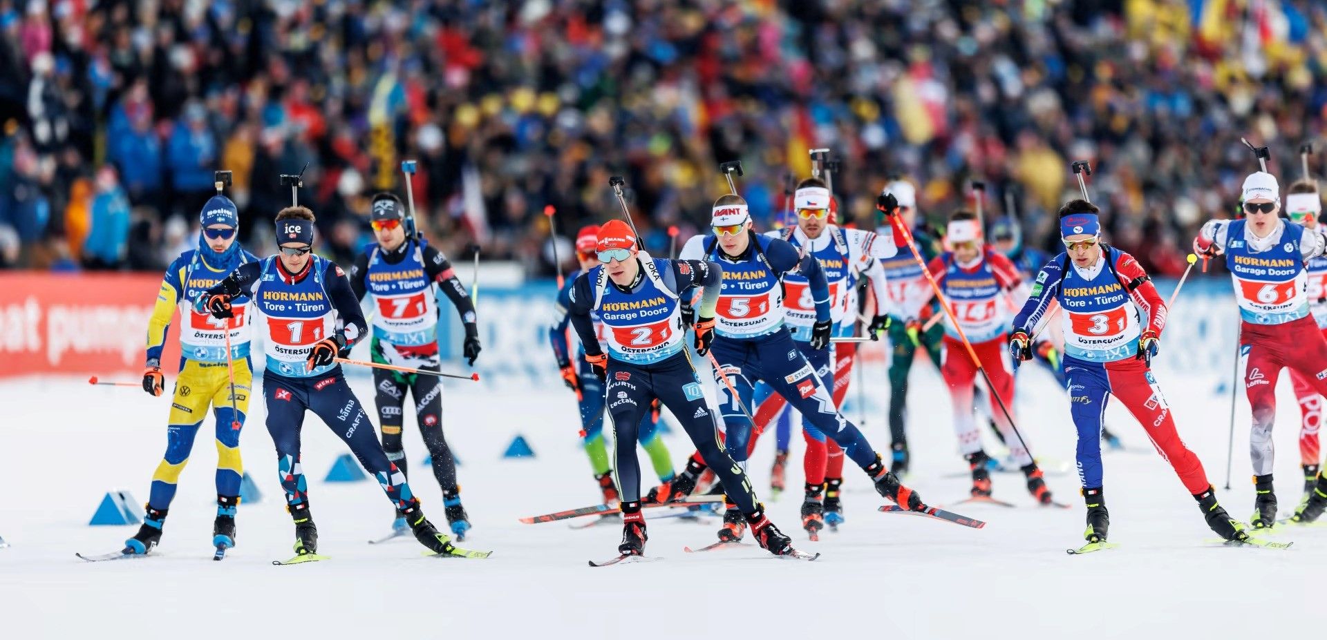 Источник: IBU