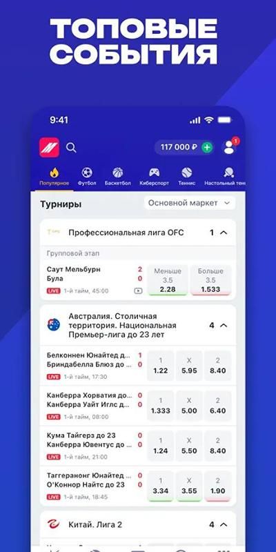 Изображение в виджете картинок