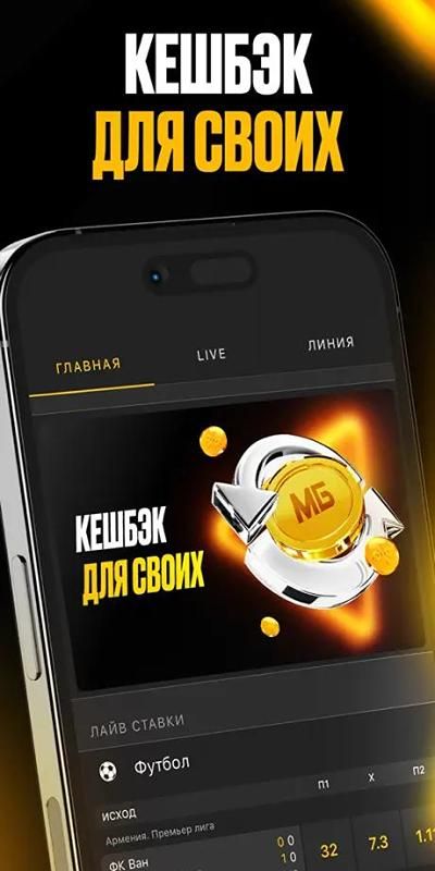 Изображение в виджете картинок