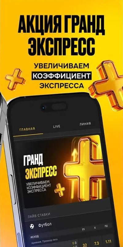 Изображение в виджете картинок