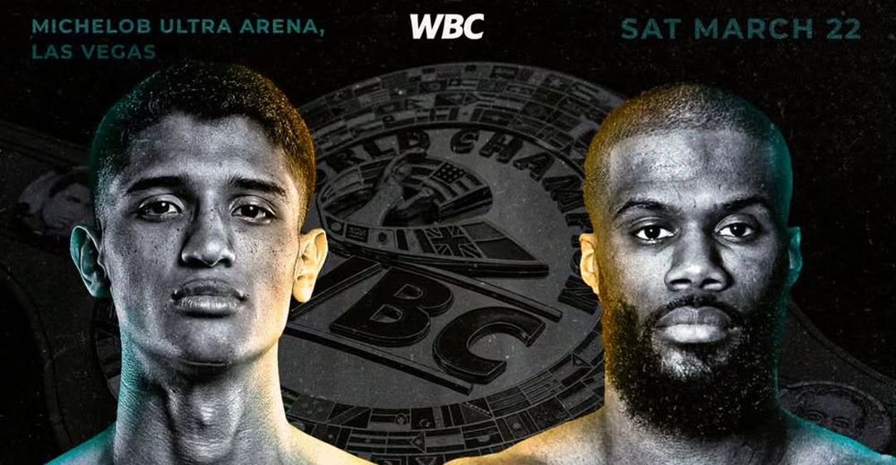 Источник: WBC