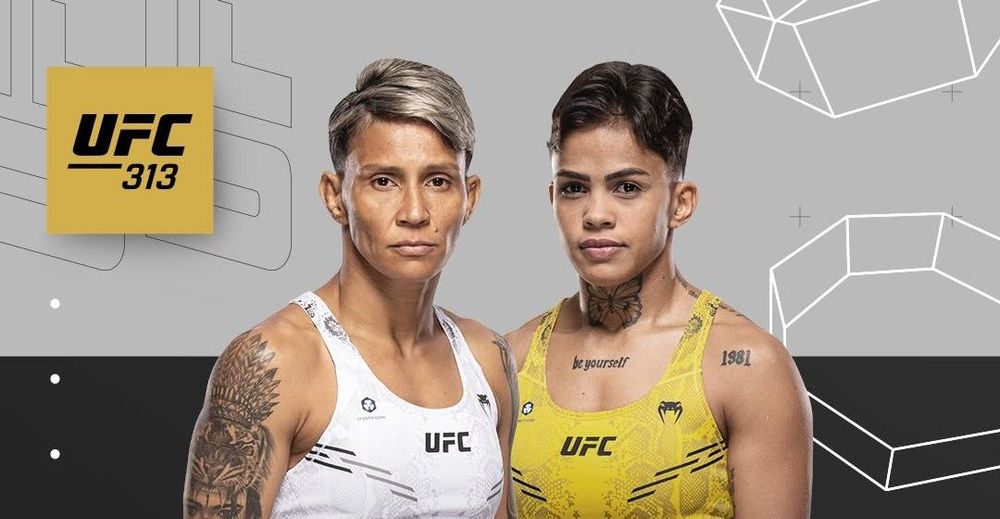 Источник: UFC Brasil