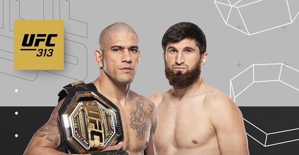 Источник: UFC Eurasia