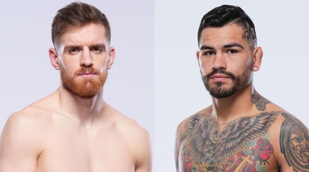 Шахбазян - Эрнандес (слева направо). Источник: ufcnewsalerts