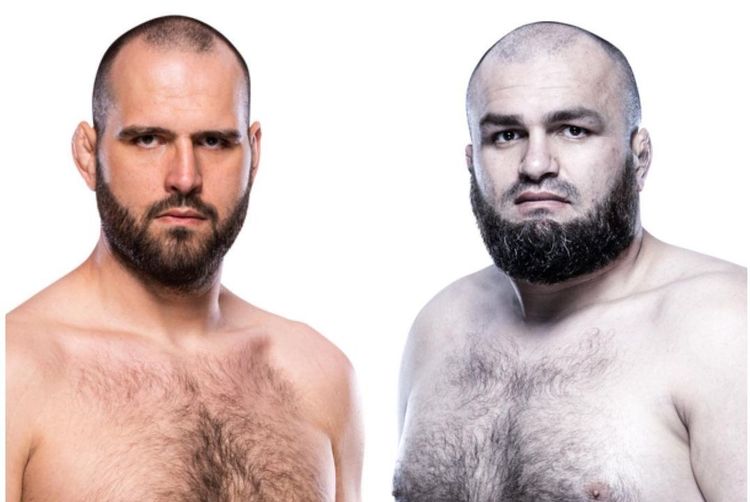 Источник: octagon.update