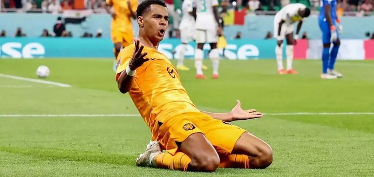 Cody-Gakpo-celebrates-goal_11zon.jpg
