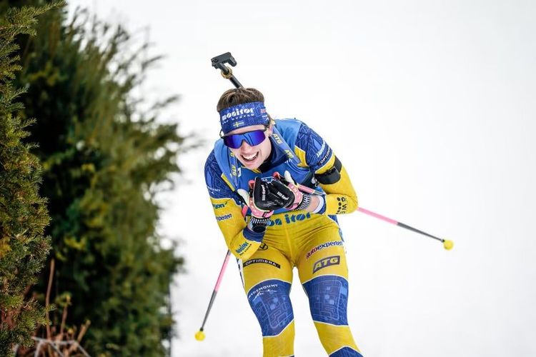 Источник: IBU