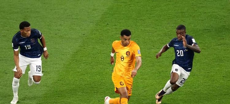 Netherlands-v-Ecuador-Group-A-FIFA-World-Cup-Qatar-2022_11zon (1).jpg