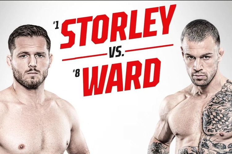 Источник: Bellator MMA