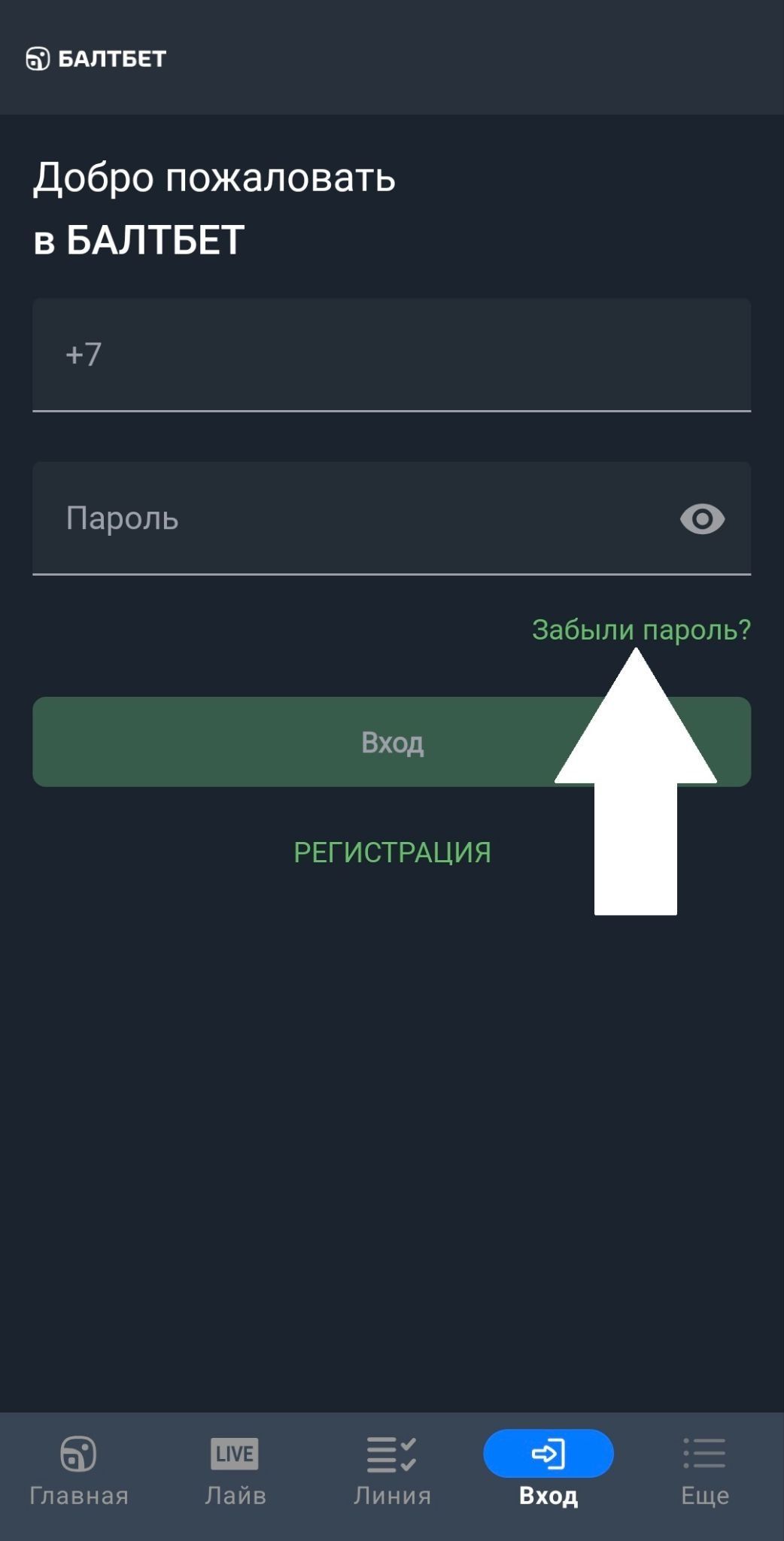 image not found