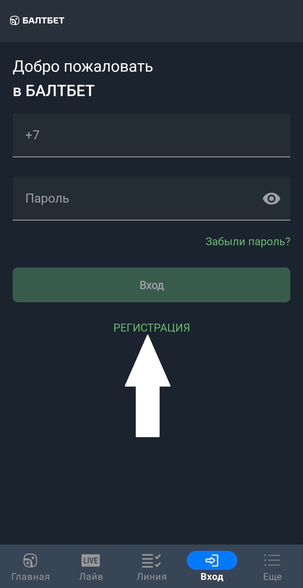 image not found