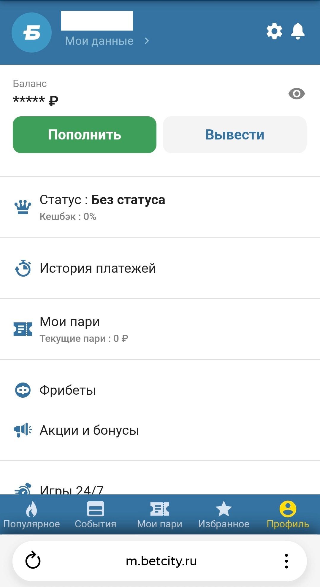 Изображение в виджете картинок
